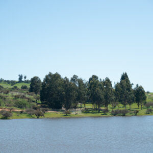 PARCELAS EN VENTA EN LA ESTRELLA, HACIENDA DON BASTIAN