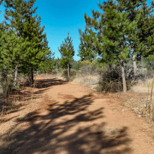 PARCELAS EN VENTA EN PAREDONES, ESTANCIA PAREDONES