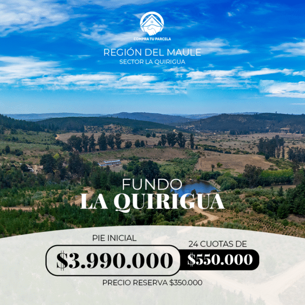 PARCELAS EN VENTA EN VICHUQUEN, FUNDO LA QUIRIGUA - Imagen 10