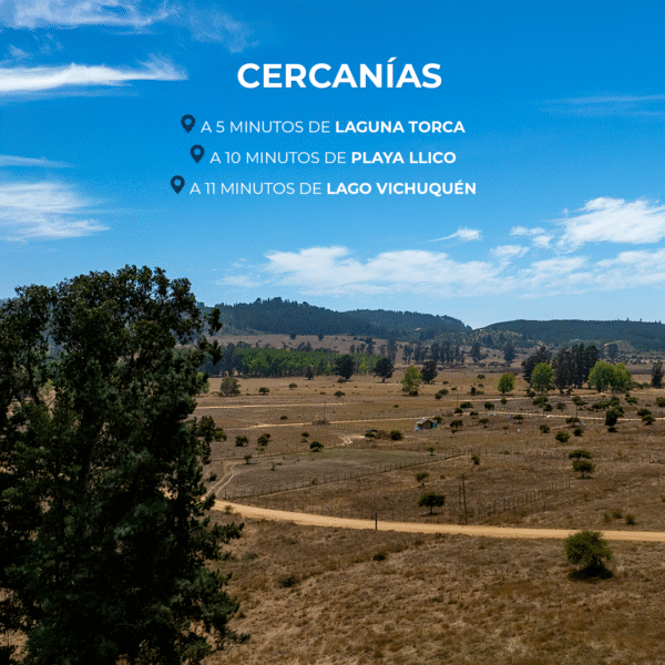 PARCELAS EN VENTA EN VICHUQUEN, FUNDO LA QUIRIGUA - Imagen 6