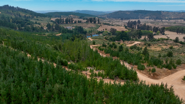 PARCELAS EN VENTA EN VICHUQUEN, FUNDO LA QUIRIGUA - Imagen 5