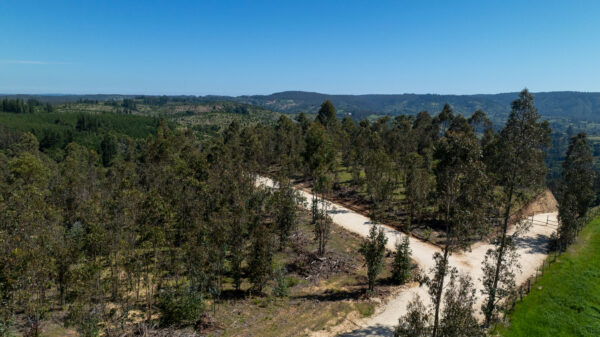 PARCELAS EN VENTA EN MATANZA, VIVE MATANZA - Imagen 3