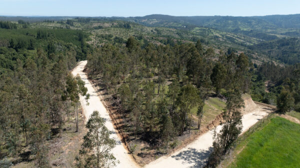 PARCELAS EN VENTA EN MATANZA, VIVE MATANZA - Imagen 9