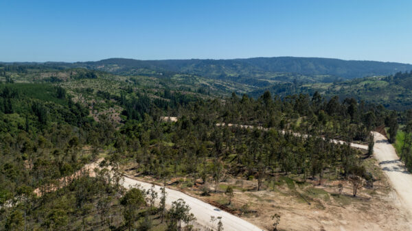 PARCELAS EN VENTA EN MATANZA, VIVE MATANZA - Imagen 6