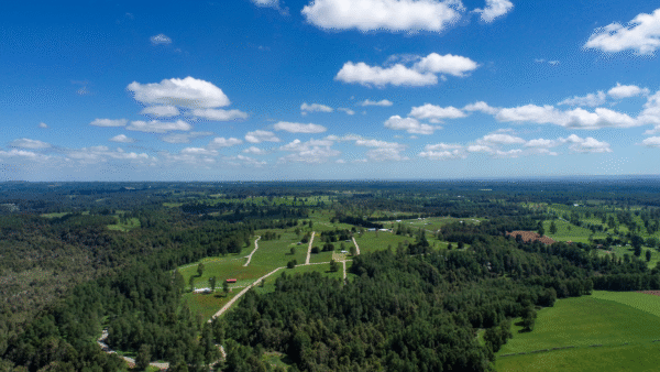 BOSQUES DE FRUTILLAR - Imagen 5