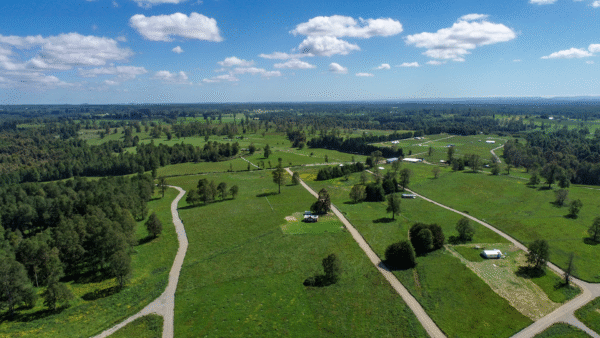 BOSQUES DE FRUTILLAR - Imagen 11