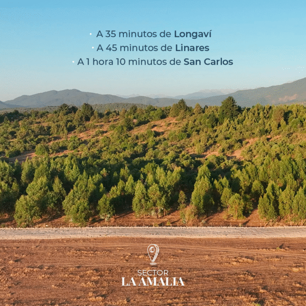 PARCELAS EN VENTA EN LONGAVI, VIVE LONGAVI - Imagen 13