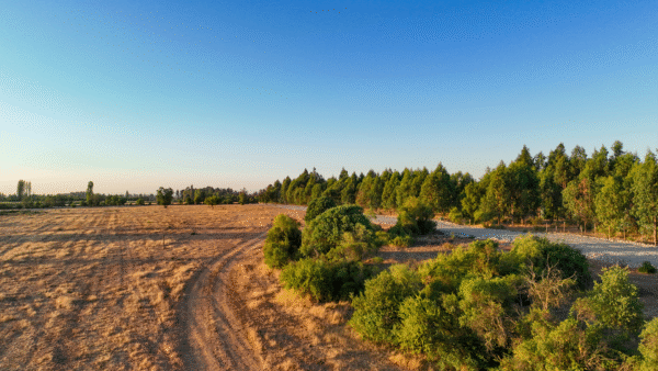 PARCELAS EN VENTA EN LONGAVI, VIVE LONGAVI - Imagen 11