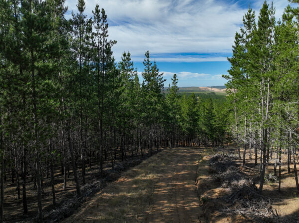 Parcelas en Venta en Cauquenes, Arroyos de Cauquenes - Imagen 9