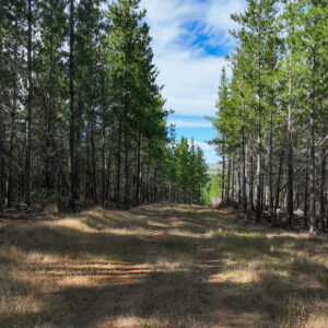 Parcelas en Venta en Cauquenes, Arroyos de Cauquenes