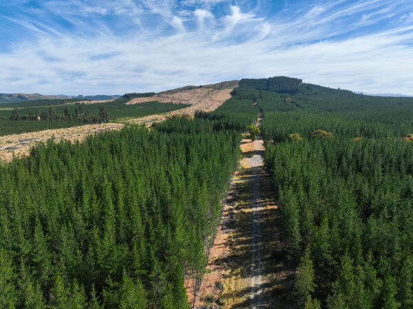 Parcelas en Venta en Cauquenes, Arroyos de Cauquenes - Imagen 4