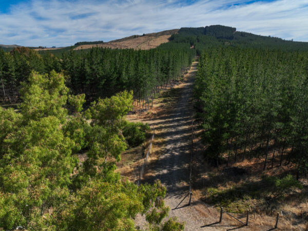 Parcelas en Venta en Cauquenes, Arroyos de Cauquenes - Imagen 2