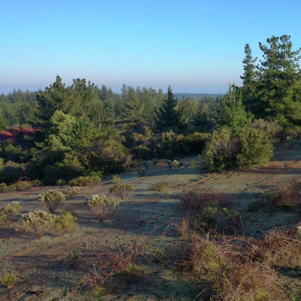 Parcelas en Venta en Pichilemu, Alto Pichilemu - Imagen 7