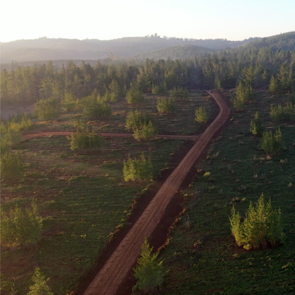 Parcelas en Venta en Pichilemu, Alto Pichilemu - Imagen 6