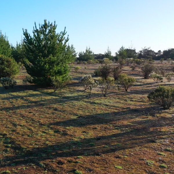 Parcelas en Venta en Pichilemu, Alto Pichilemu - Imagen 2